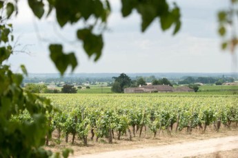 Bordeaux, - Photo : Sebastien Ortola