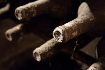Caveau Macro bouteilles