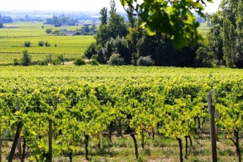 Cote de franc vue Dordogne