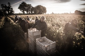 Château Coutet-Saint-Emilion