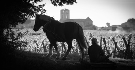 Château Coutet-Saint-Emilion